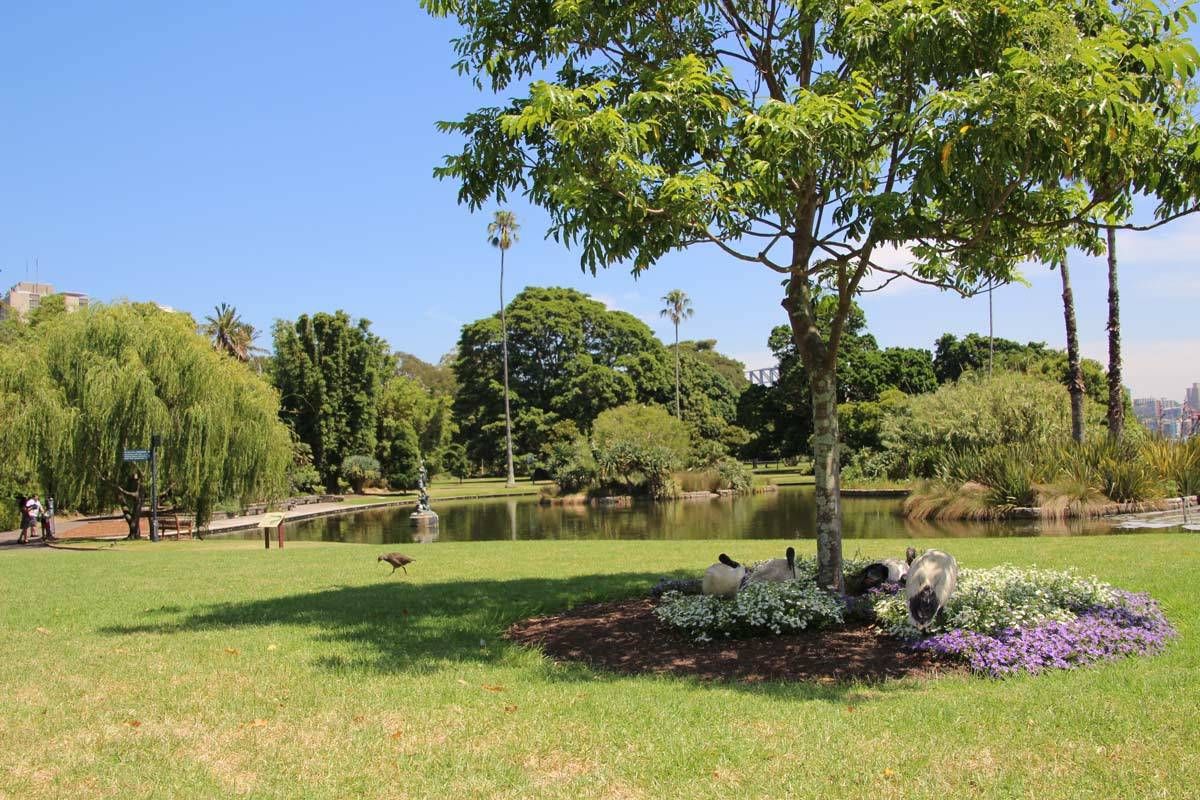 Eal Pond Royal Botanic Gardens