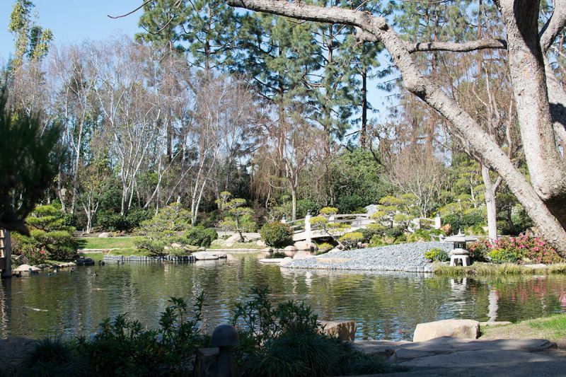 On the Grid : Earl Burns Miller Japanese Garden