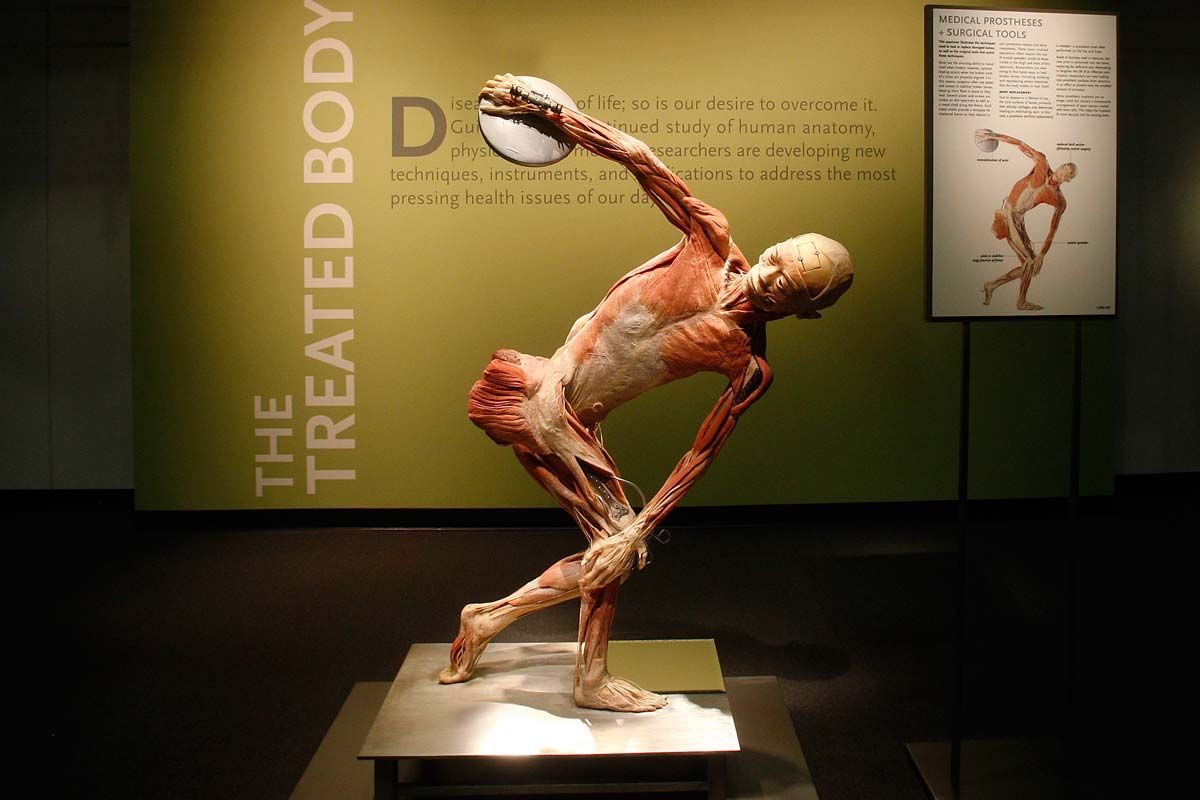 BODIES: The Exhibition