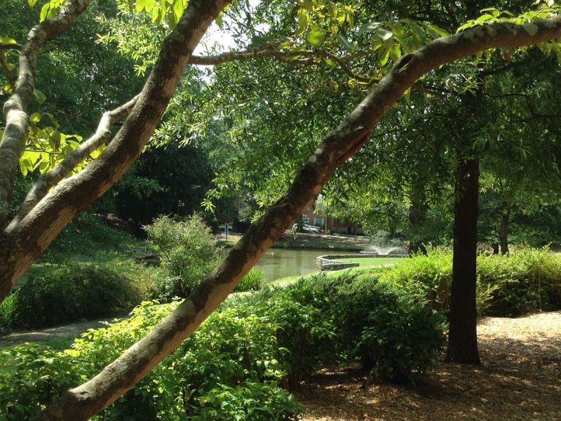 On the Grid Springvale Park