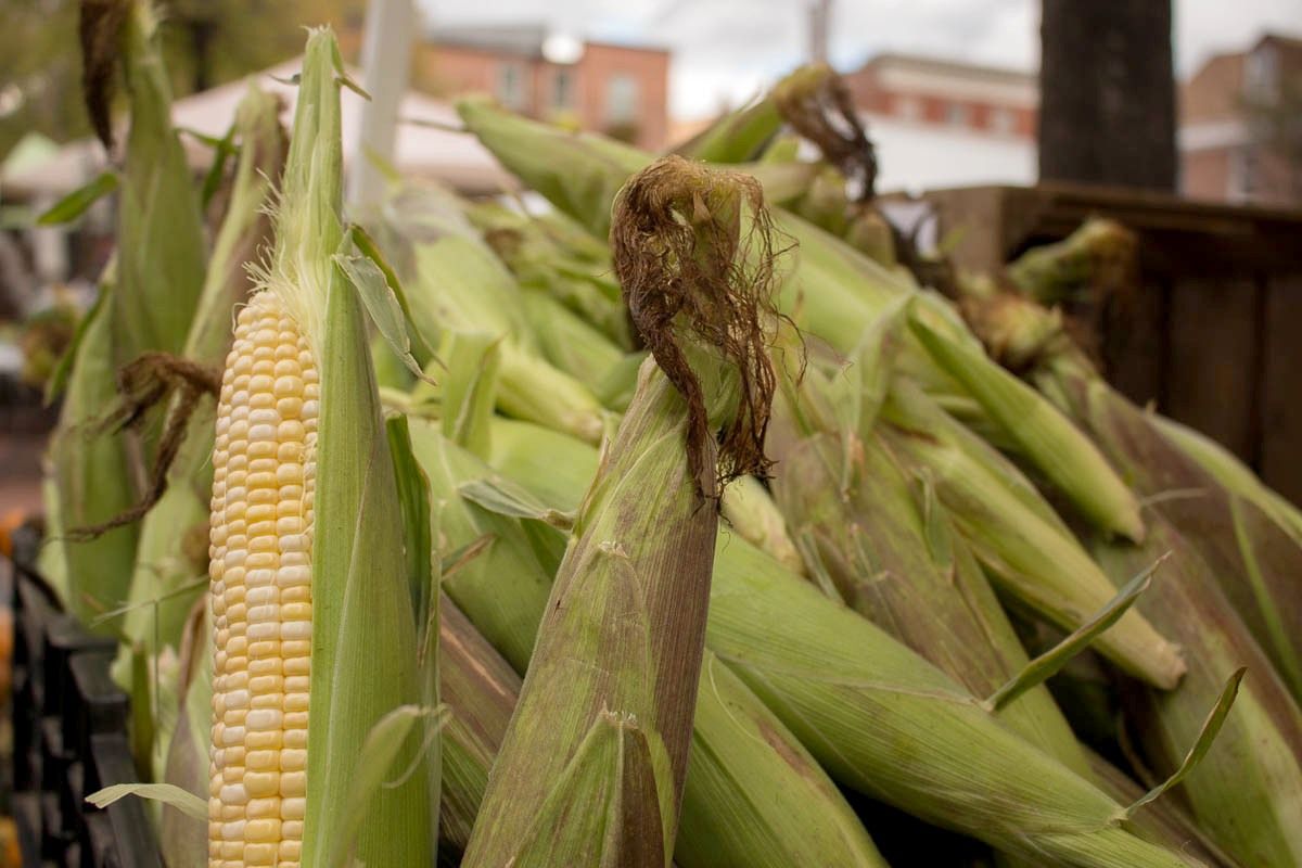 Fell's Point Farmers' Market