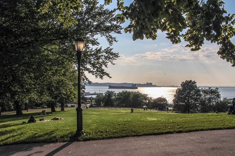 On the Grid Owl's Head Park