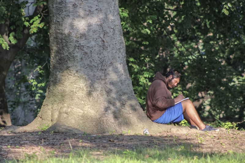 On the Grid Owl's Head Park