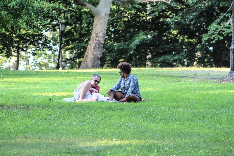 On the Grid Owl's Head Park