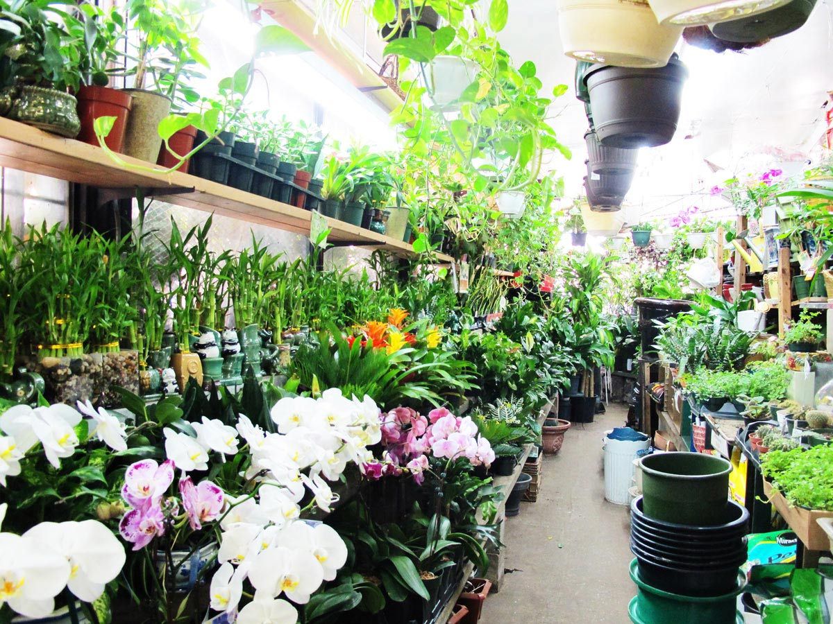 Nelly’s Flower Shop