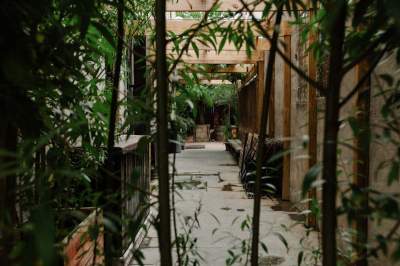 On the Grid : Frankies 457