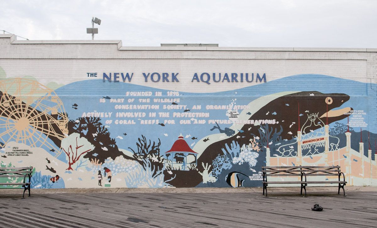 NY Aquarium