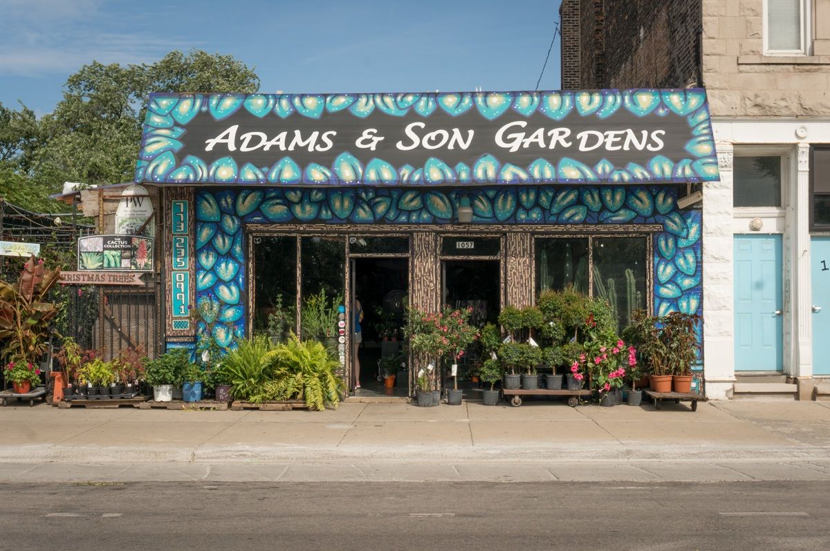 Adams & Son Gardens