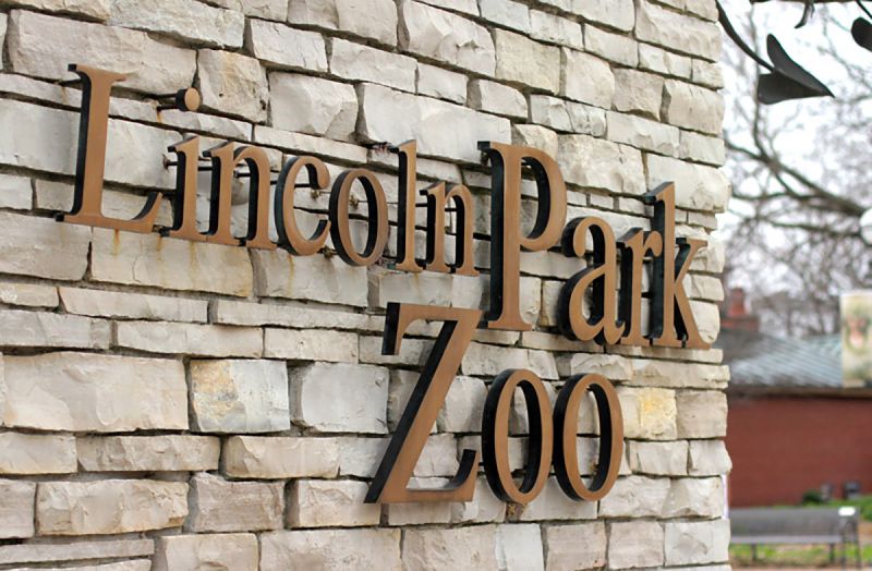 On the Grid : Lincoln Park Zoo