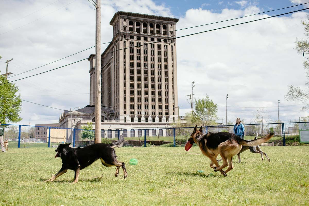 Detroit Dog Park