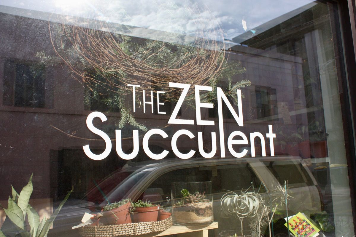 The Zen Succulent 
