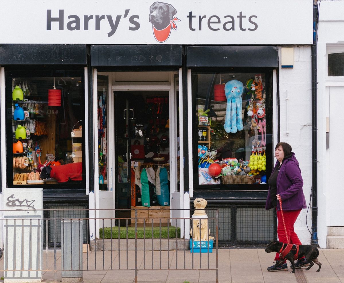 Harry's Treats & Dog Bakery