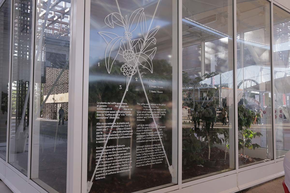 An Experiential Greenhouse