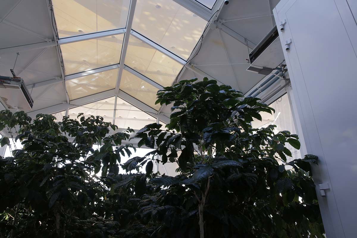 An Experiential Greenhouse