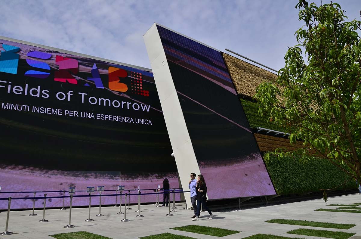 Fields of Tomorrow