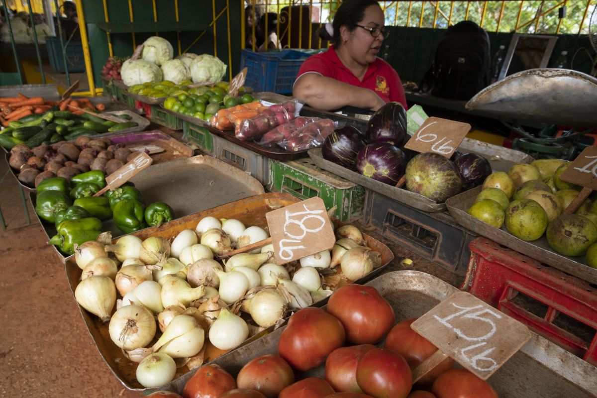Mercado Agropecuario 19 y B (Farmers' Market)