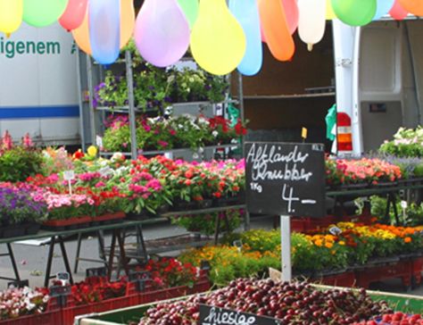 Farmer's Market at Blücherplatz