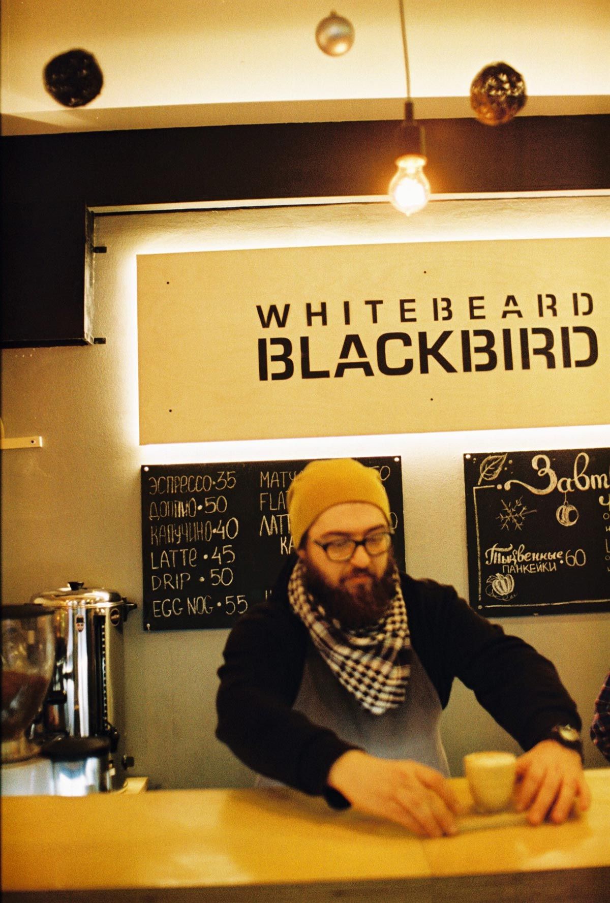 Whitebeard Blackbird