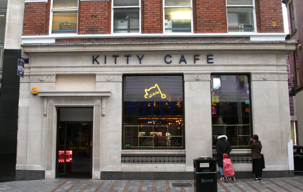 Kitty Cafe 