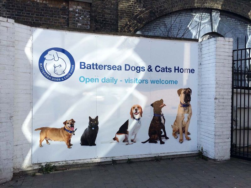 On the Grid Battersea Dogs & Cats Home