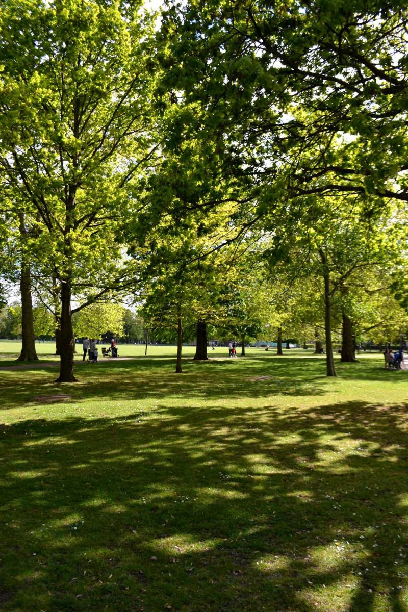 On the Grid Queen's Park