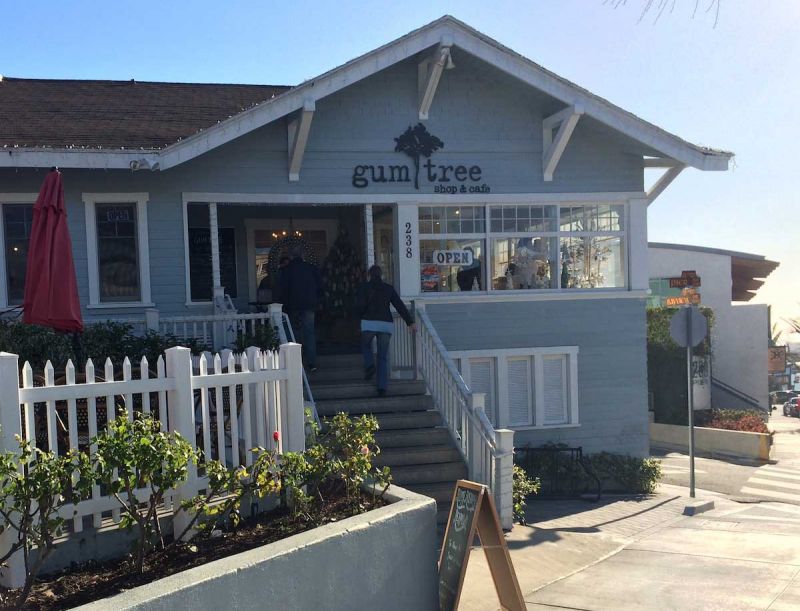 On the Grid Gum Tree