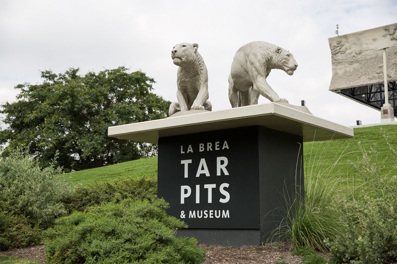 On the Grid : La Brea Tar Pits & Museum