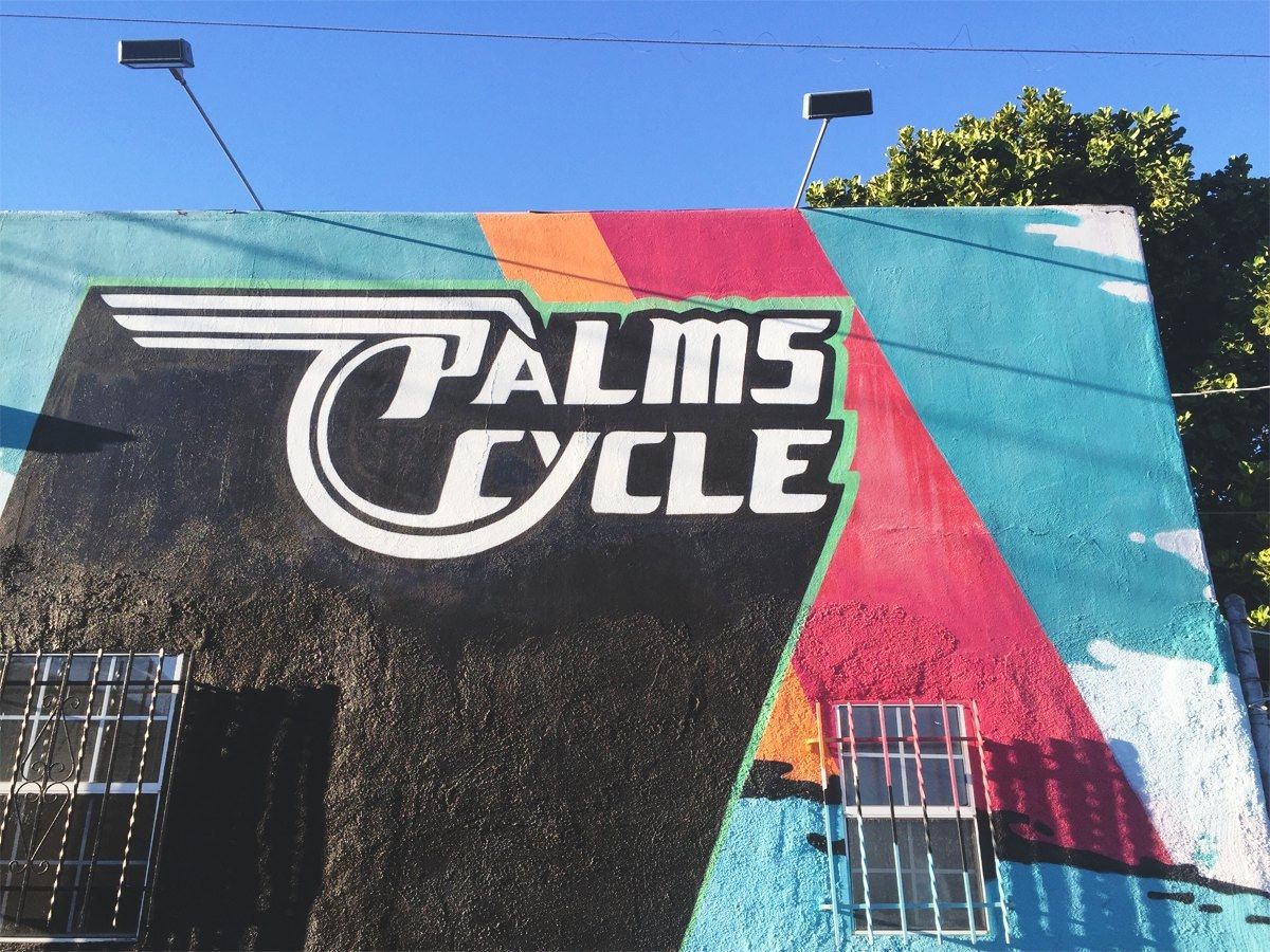 Palms Cycle