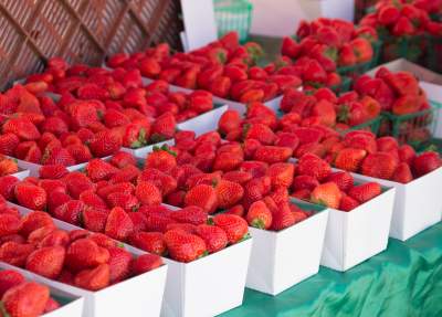 On the Grid : Studio City Farmer's Market