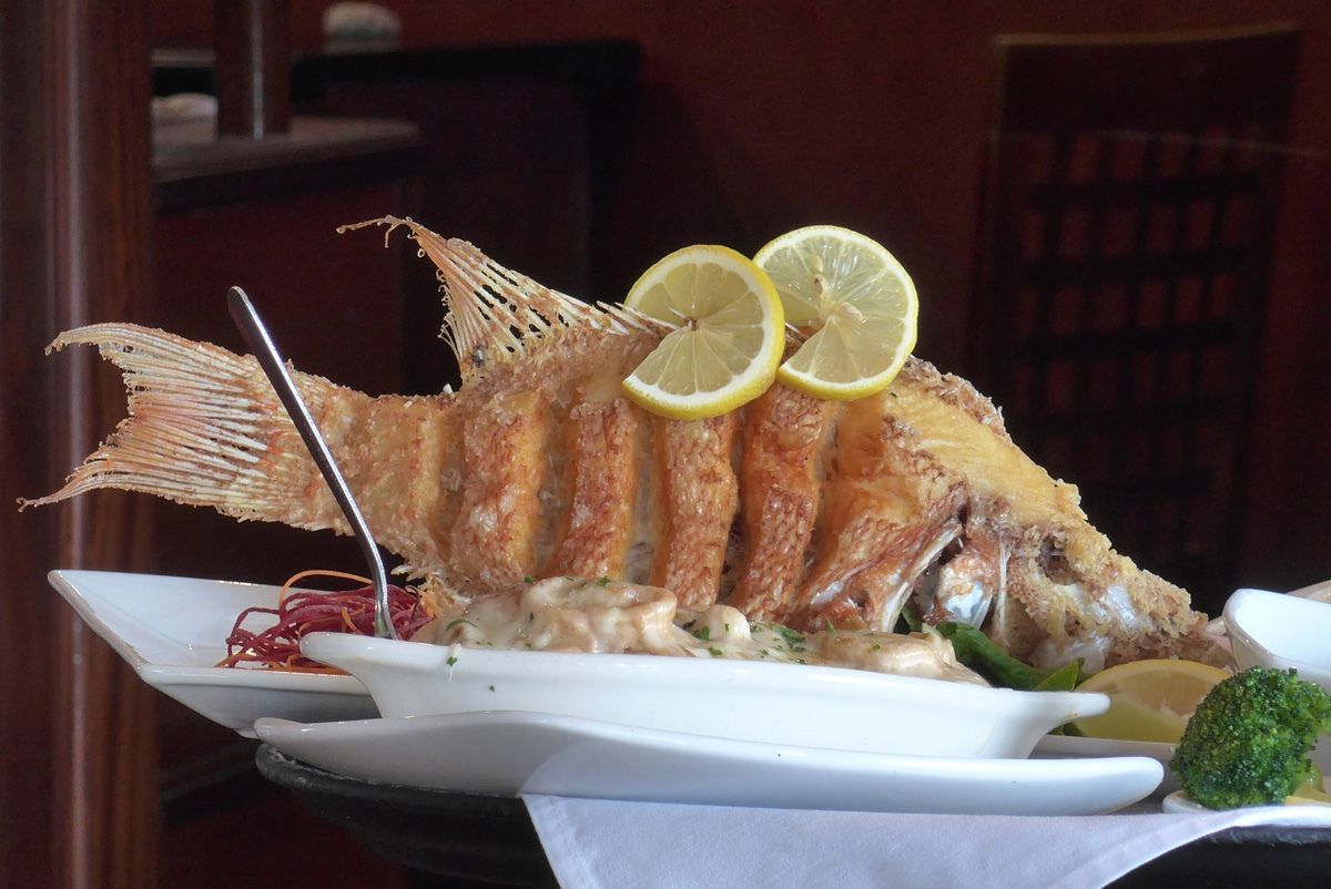 Casablanca Seafood Bar & Grille