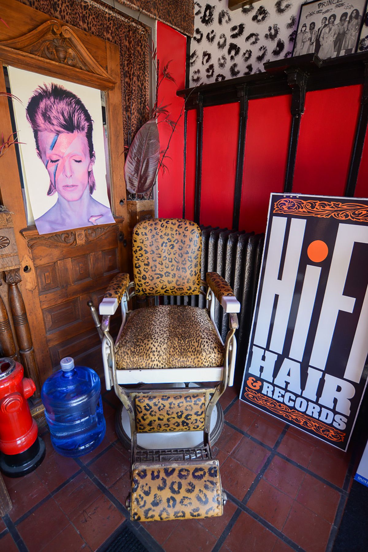 HiFi Hair and Records