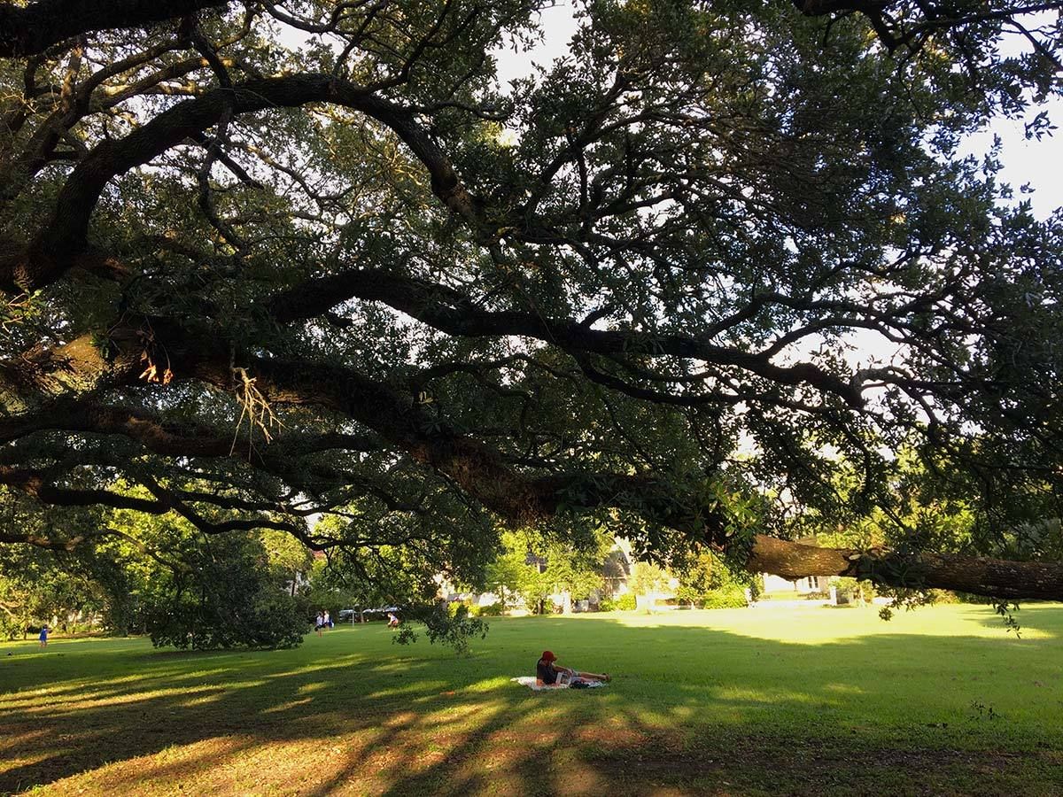 Audubon Park