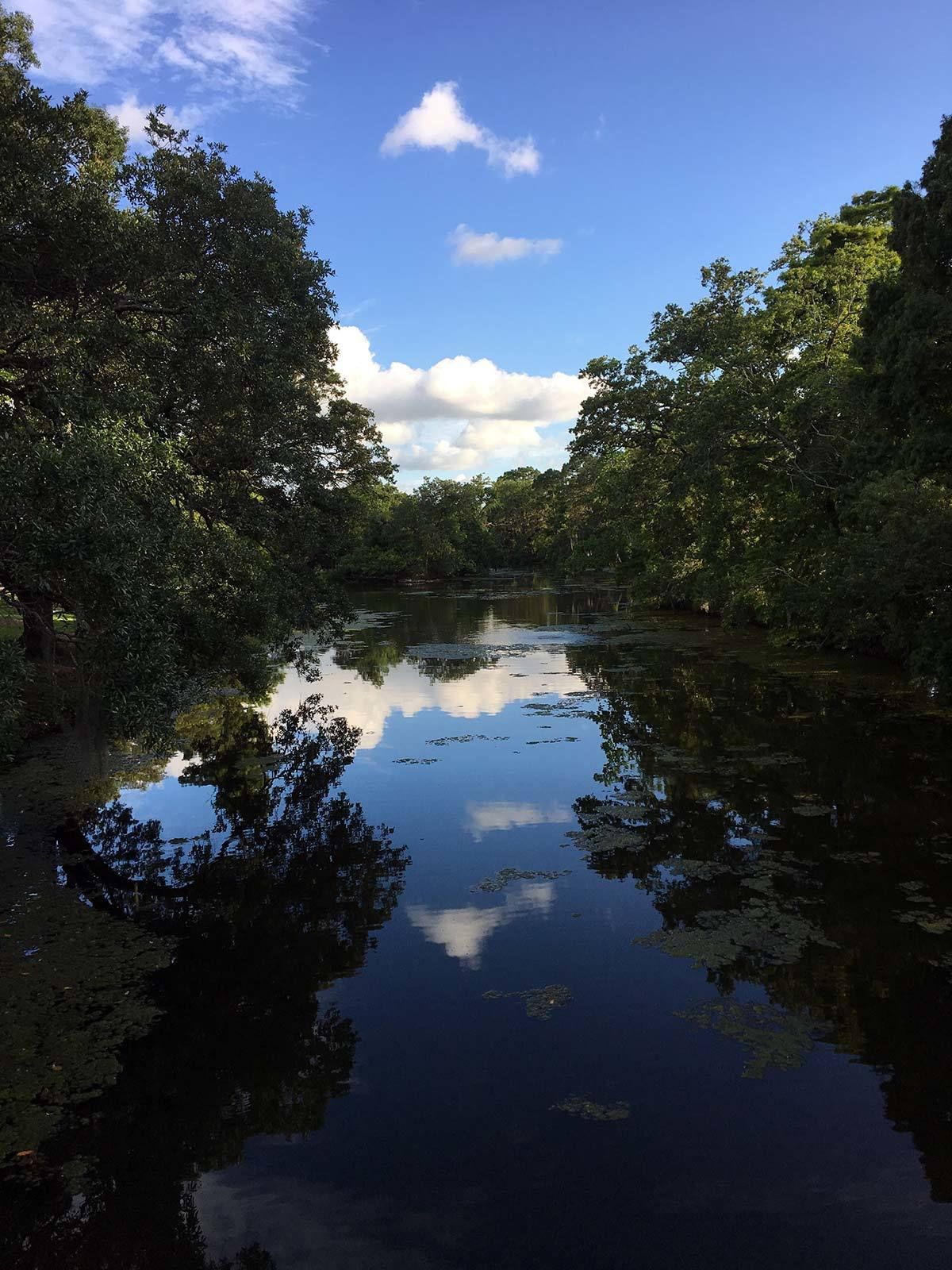 Audubon Park