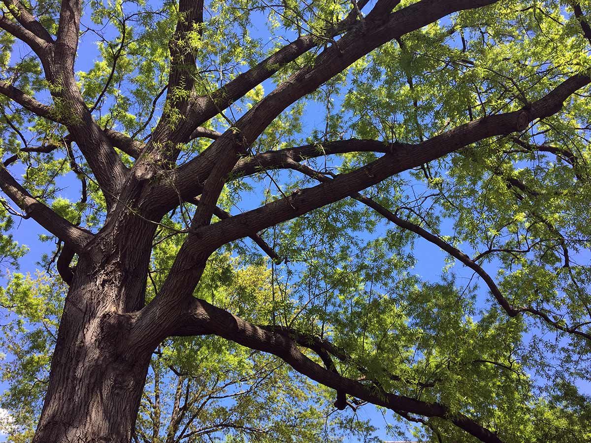 Logan Circle Park