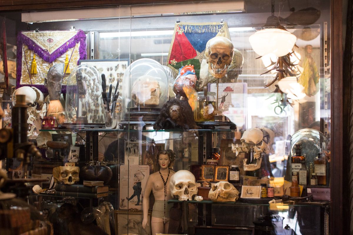 Obscura Antiques & Oddities
