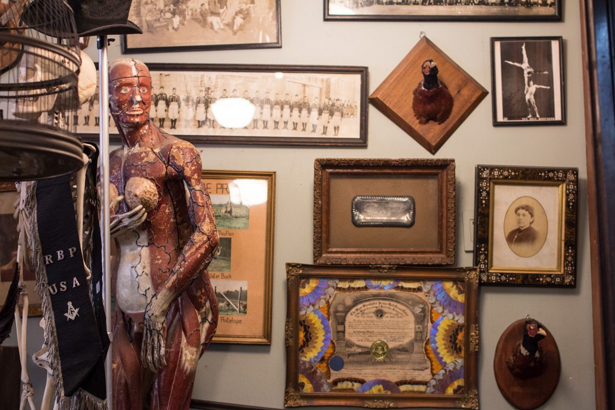 Obscura Antiques & Oddities
