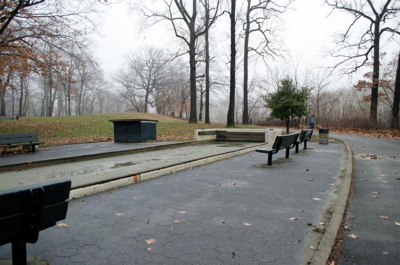 On the Grid Kissena Park
