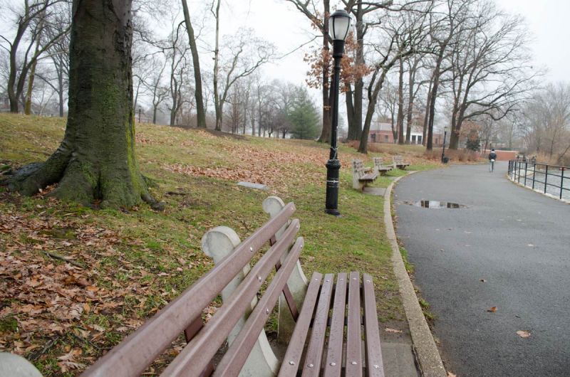 On the Grid Kissena Park