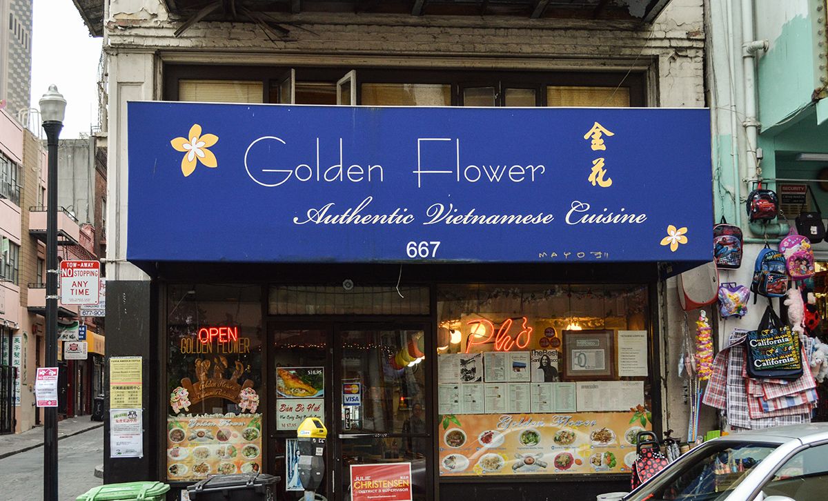 Golden Flower 
