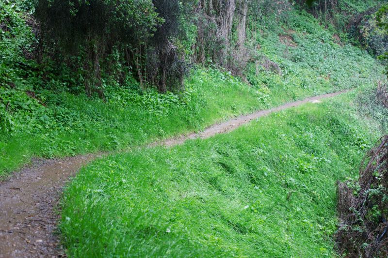 On the Grid : Cold Springs Trail