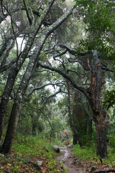 On the Grid : Cold Springs Trail