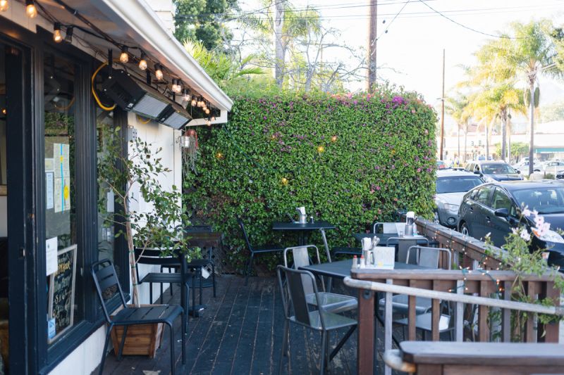 On the Grid Yellow Belly