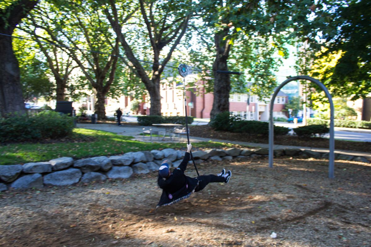 The Swing at Denny Park