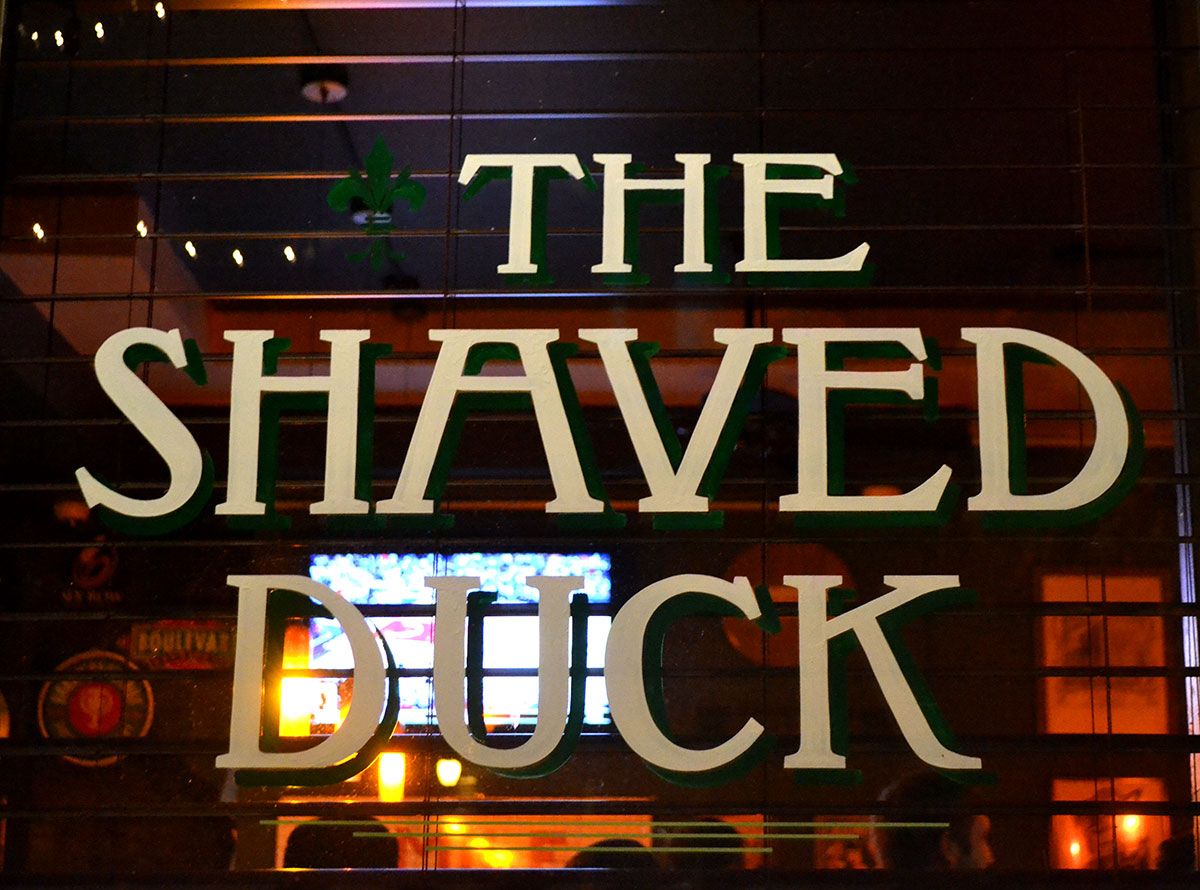 The Shaved Duck