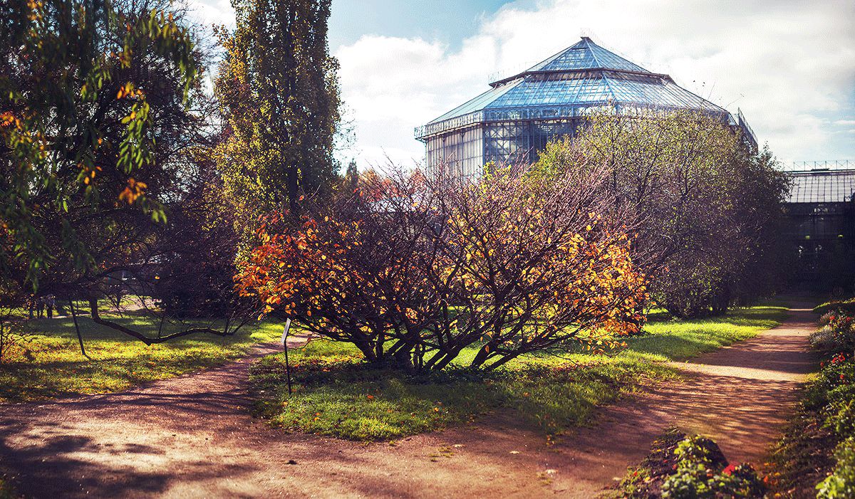 Botanic Garden of Peter the Great