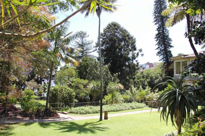 On the Grid Blackburn Gardens and Double Bay Library