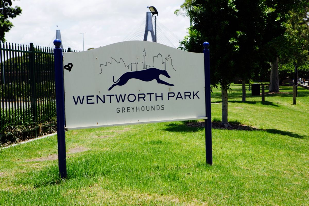 Wentworth Park – Greyhound Racing
