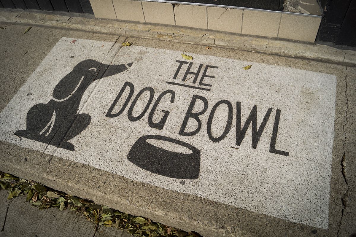The Dog Bowl