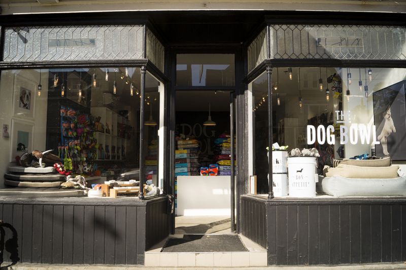 On the Grid The Dog Bowl