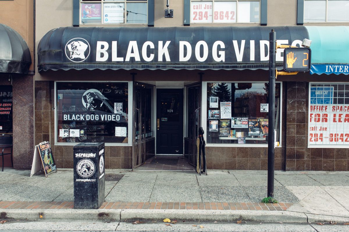 Black Dog Video